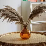 Sereners - Le Bon Marche